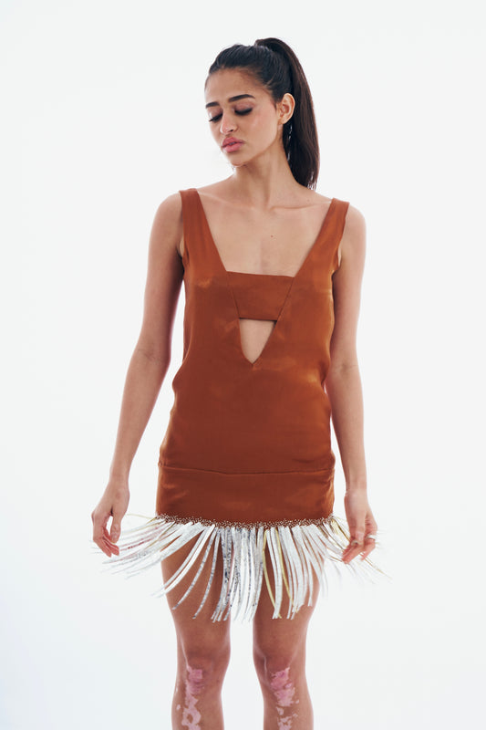 Feathers Mini Dress